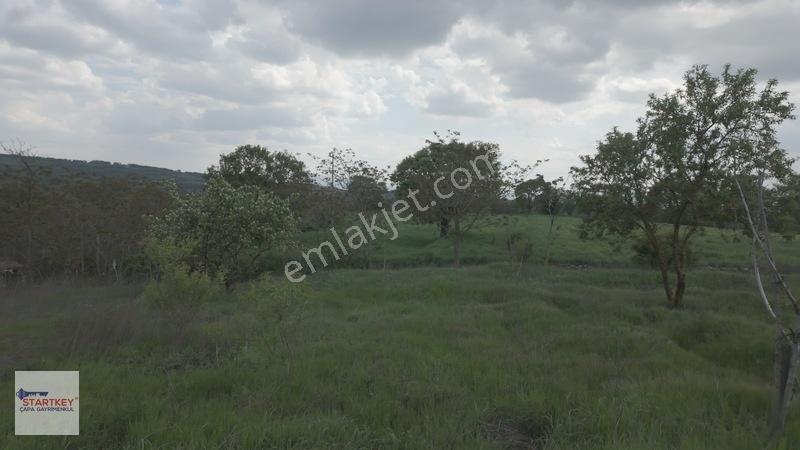 Hazır Projeli Müstakil Tapulu Arsalar — fotoğraf 25