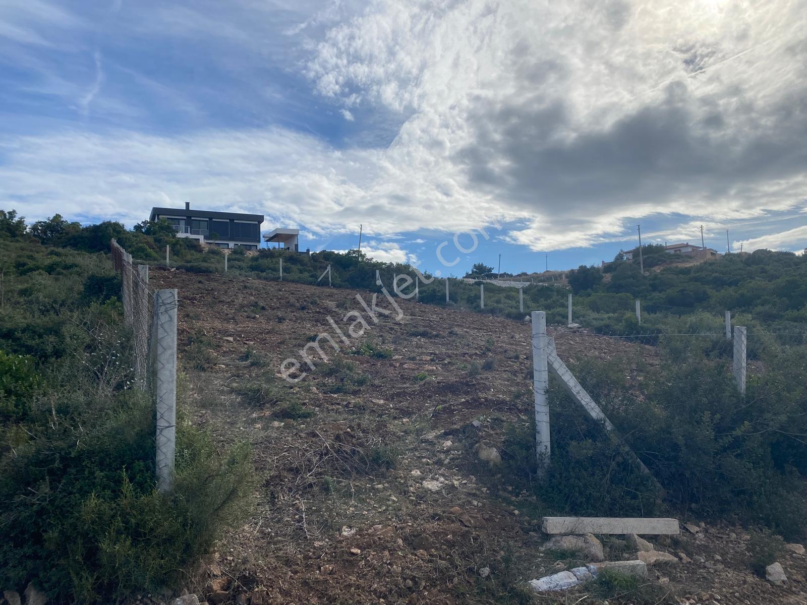 Didim Seyrantepede Satılık 593 M2 Satlık Arsa — fotoğraf 3