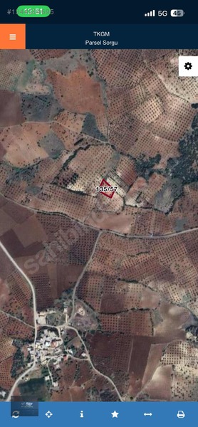 Şef'ten Musabeyli Akçakent'te Fırsat Zeytinlik — fotoğraf 2