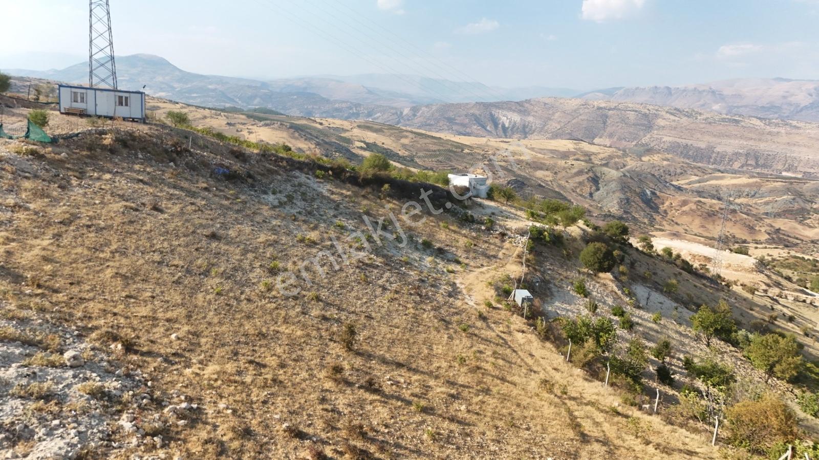 Hakevden Şehrin Yanı Başında Bağevi Olabilecek Tarla — fotoğraf 7