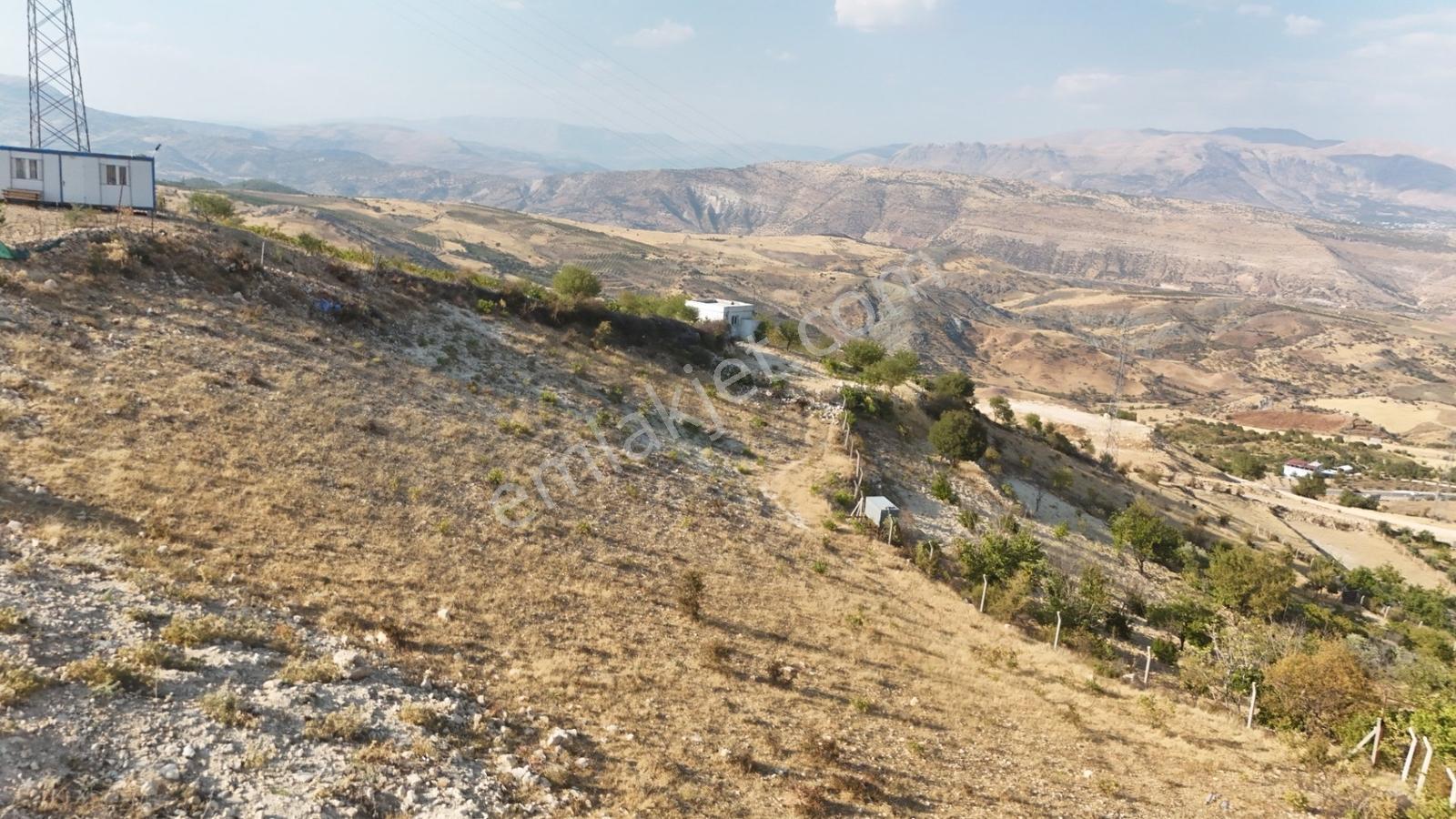 Hakevden Şehrin Yanı Başında Bağevi Olabilecek Tarla — fotoğraf 8