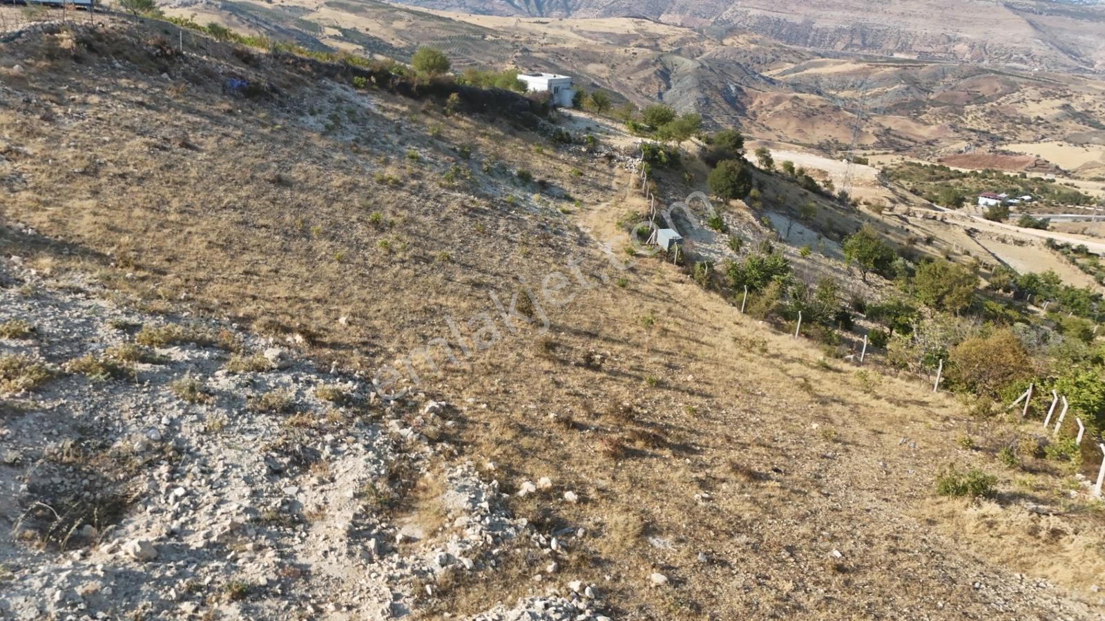 Hakevden Şehrin Yanı Başında Bağevi Olabilecek Tarla — fotoğraf 9