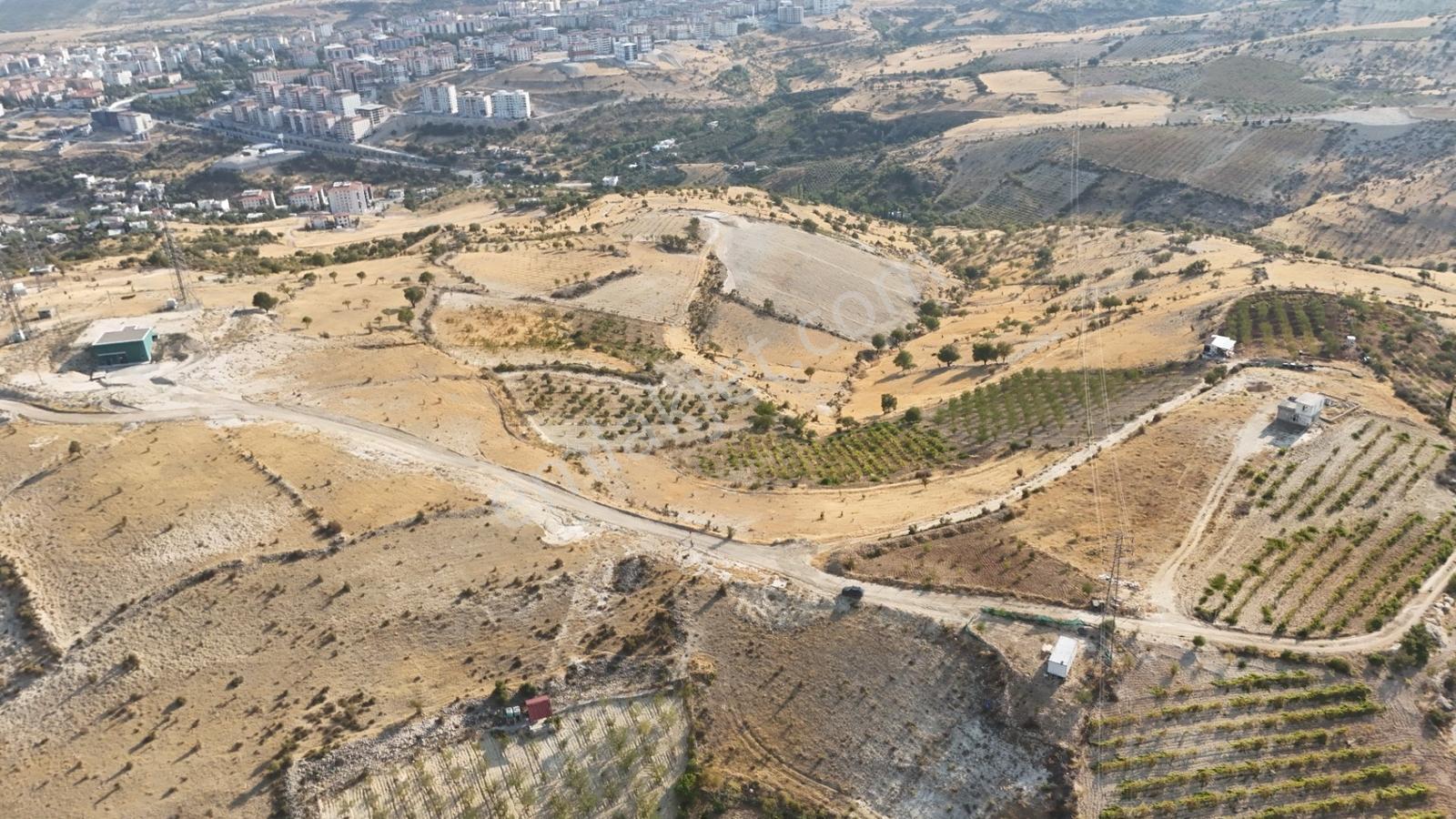 Hakevden Şehrin Yanı Başında Bağevi Olabilecek Tarla — fotoğraf 16