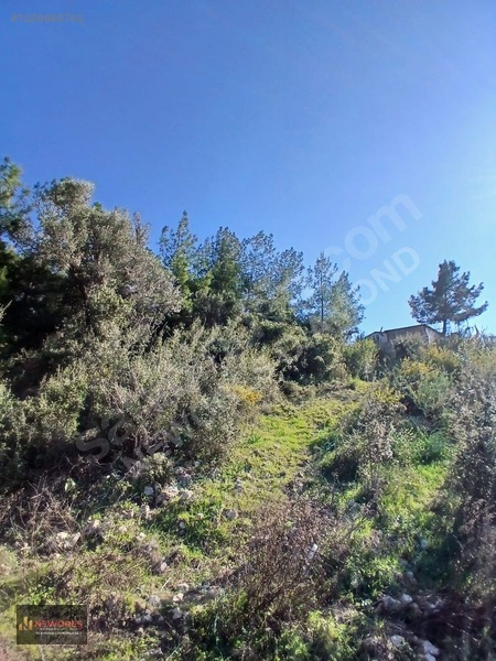 Özgür Oktay'dan Antalya Kumluca Belen De 3583 M2 Satılık Tarla — fotoğraf 9