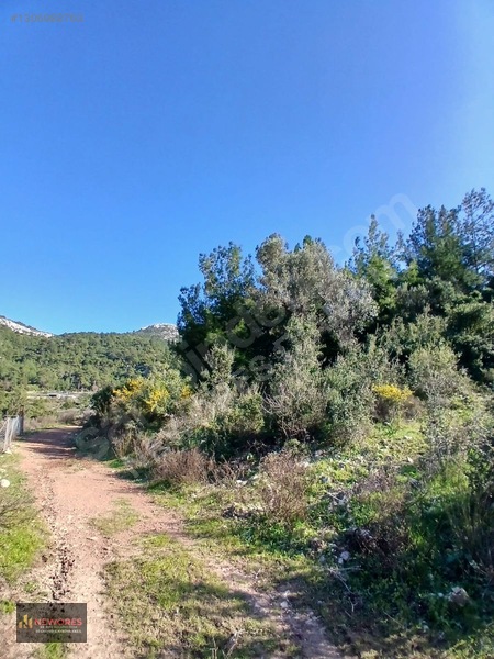 Özgür Oktay'dan Antalya Kumluca Belen De 3583 M2 Satılık Tarla — fotoğraf 10