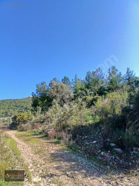 Özgür Oktay'dan Antalya Kumluca Belen De 3583 M2 Satılık Tarla — fotoğraf 11