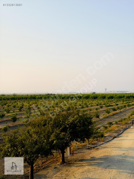 Tarsus Yeni Havalimanı Yanında 168 Dönüm Tek Tapu Satılık Bahçe — fotoğraf 11