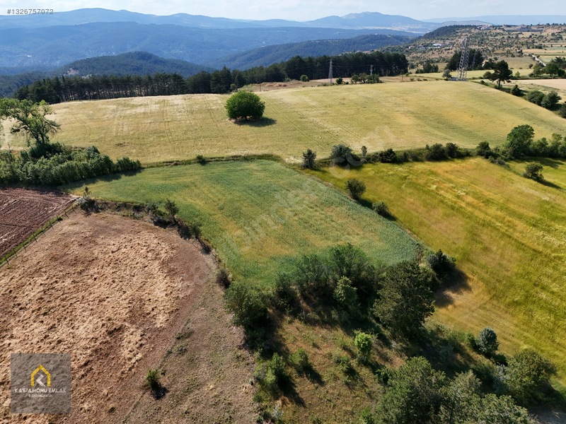 Kastamonu Emlak Gayrimenkul'den Satılık Bulacık Köyü Arazi — fotoğraf 4