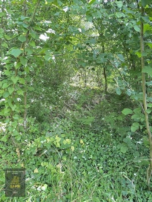 Ağva'da Satılık 1930m² Villa İmarlı Arsa - Kadastro Yola Cephe — fotoğraf 13