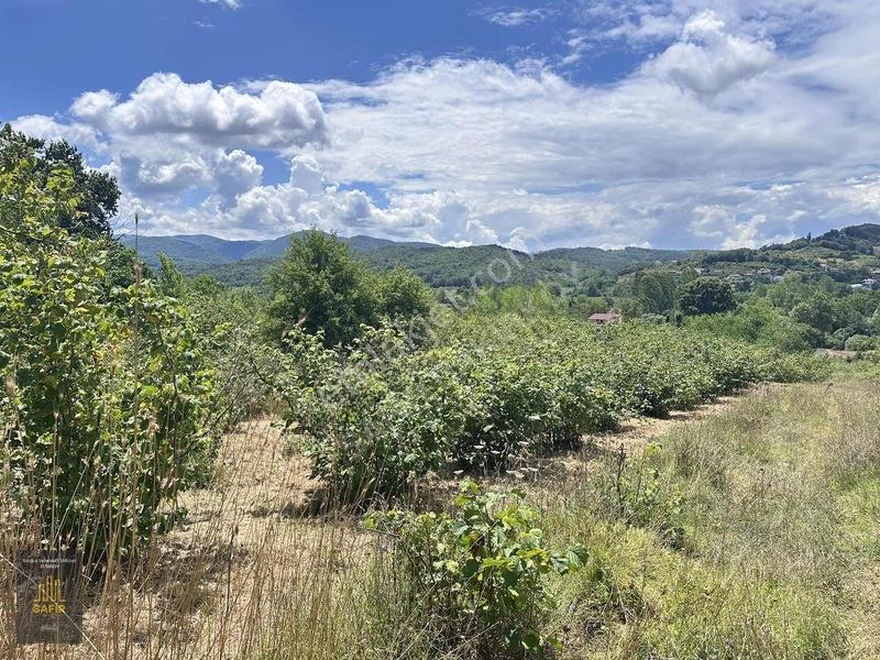 Ağva'da Satılık 1930m² Villa İmarlı Arsa - Kadastro Yola Cephe — fotoğraf 19