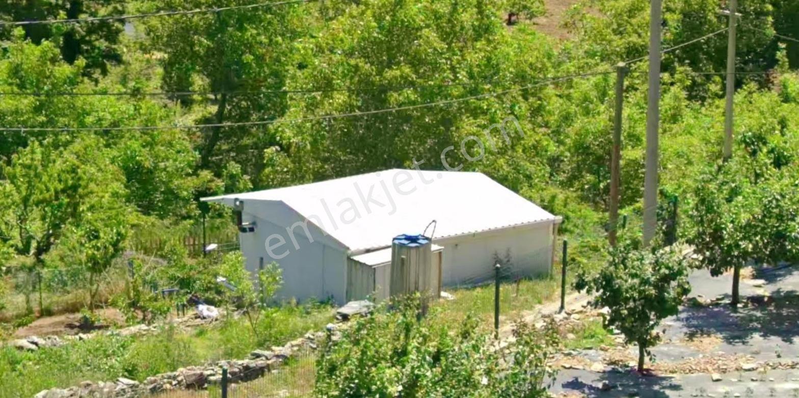 Erz'Den Kemalpaşa Yeni Kurudere'De Tek Tapu Müstakil Meyve Bahçe