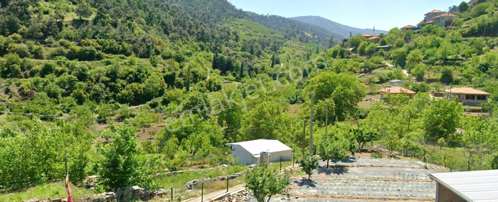 Erz'den Kemalpaşa Yeni Kurudere'de Tek Tapu Müstakil Meyve Bahçe — fotoğraf 2