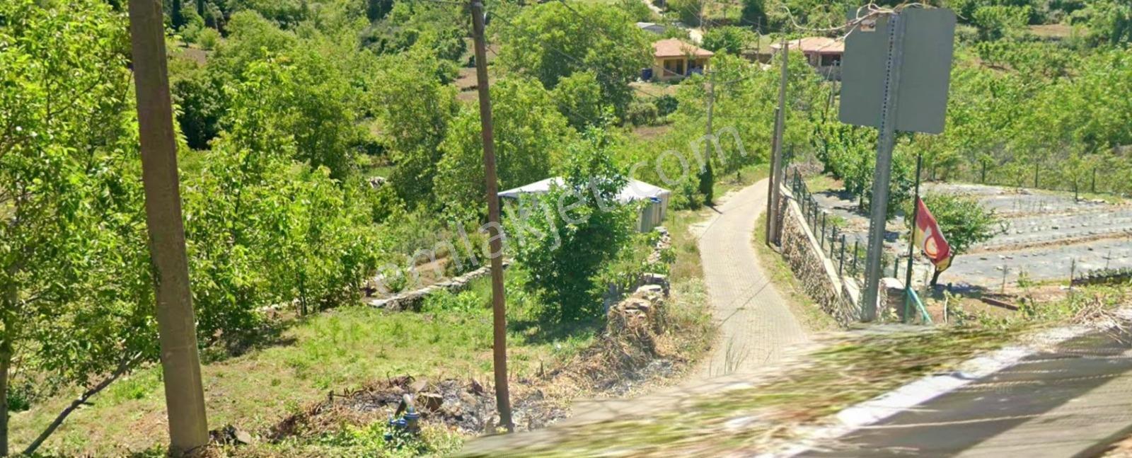 Erz'den Kemalpaşa Yeni Kurudere'de Tek Tapu Müstakil Meyve Bahçe — fotoğraf 3