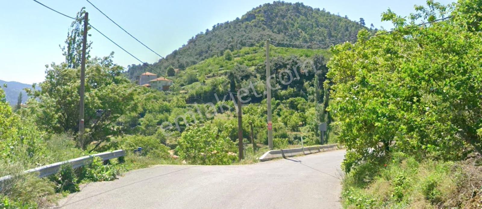 Erz'den Kemalpaşa Yeni Kurudere'de Tek Tapu Müstakil Meyve Bahçe — fotoğraf 4