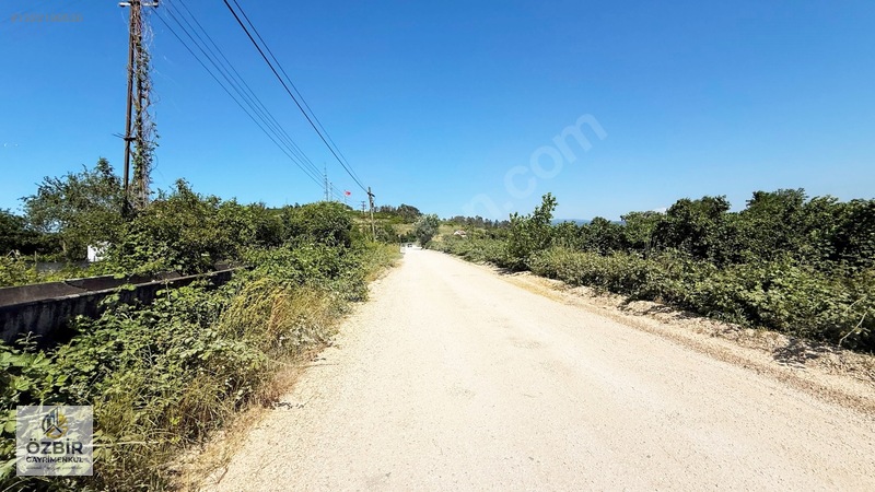 Çavuşlar Mh | Villa Yapımına Uygun Satılık Mustakil Parseller — fotoğraf 14