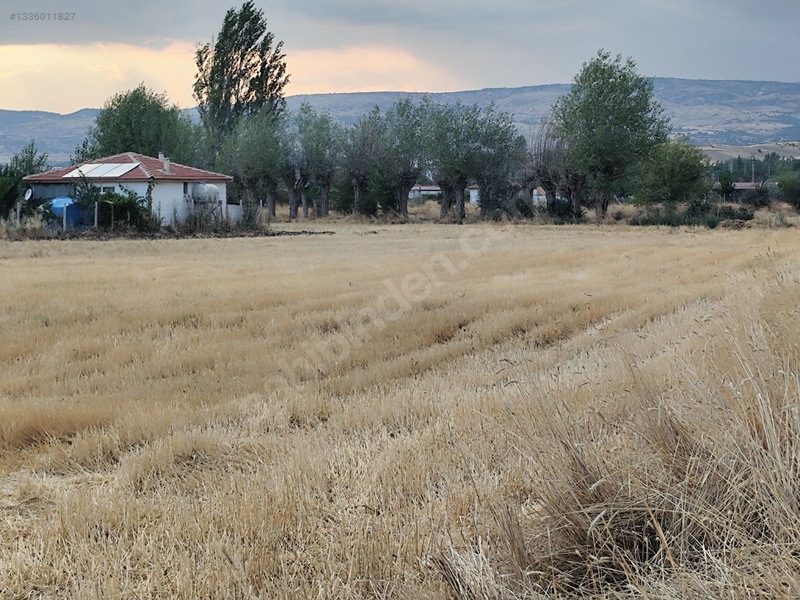 Kahramankazan İçören'de Tek Tapu Kadastro Yolla Cephe Satılık — fotoğraf 14