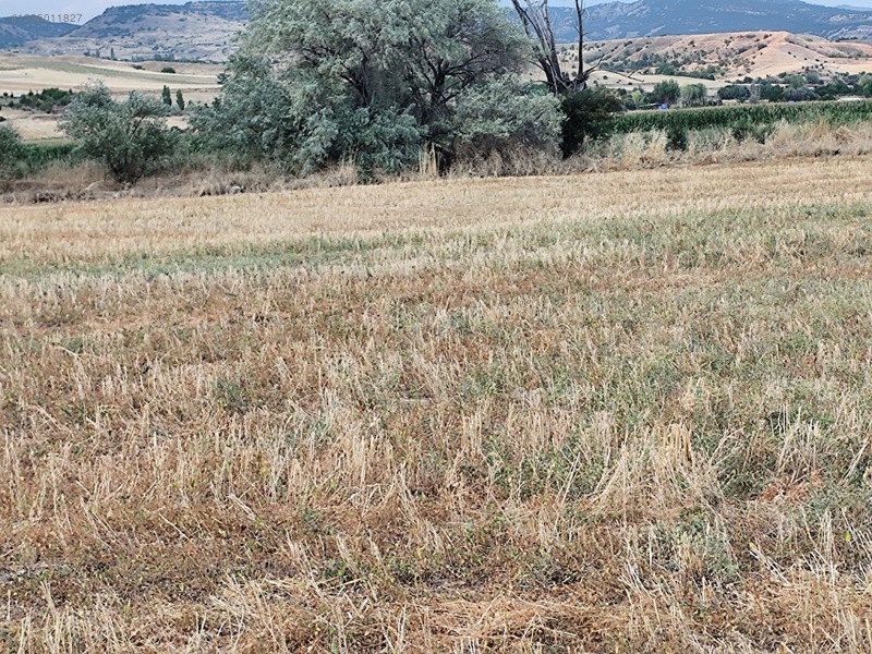 Kahramankazan İçören'de Tek Tapu Kadastro Yolla Cephe Satılık — fotoğraf 17