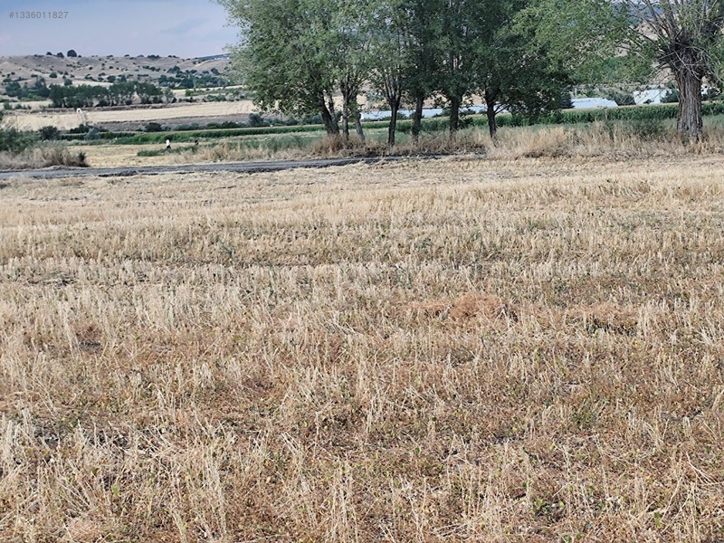 Kahramankazan İçören'de Tek Tapu Kadastro Yolla Cephe Satılık — fotoğraf 18