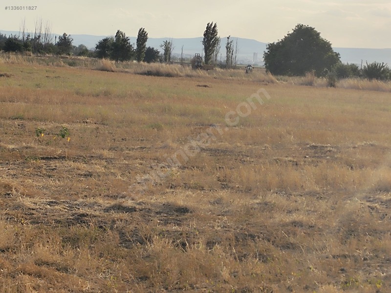 Kahramankazan İçören'de Tek Tapu Kadastro Yolla Cephe Satılık — fotoğraf 19