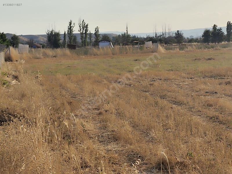 Kahramankazan İçören'de Tek Tapu Kadastro Yolla Cephe Satılık — fotoğraf 20