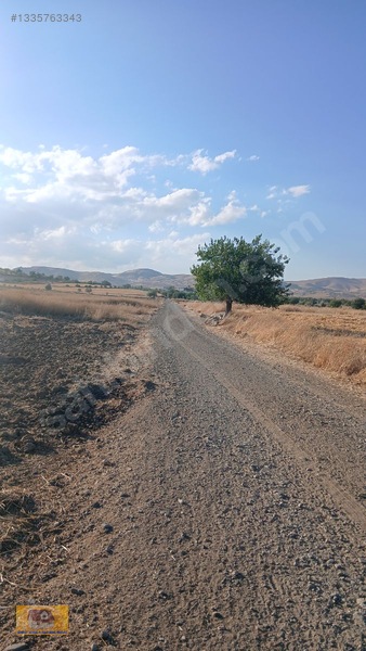 Tadım Da Satılık Meyve Bahçesi — fotoğraf 3
