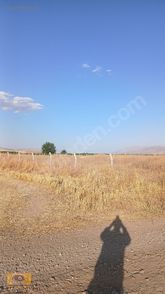 Tadım Da Satılık Meyve Bahçesi — fotoğraf 4