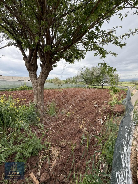 Köşe Başı 550 M Etrafı Çevrili Bağ Evlik Yer — fotoğraf 4