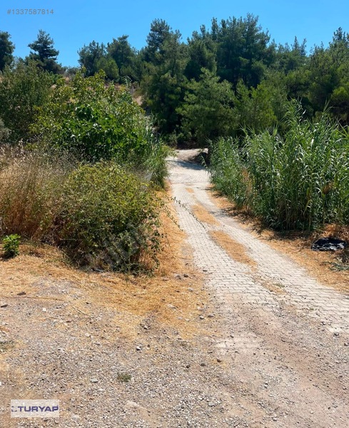 Buca/Belenbaşı Köyü'Nde 310M2 Satılık Tarla