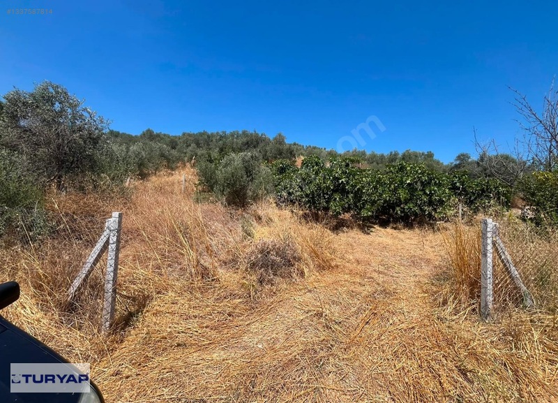 Buca/Belenbaşı Köyü'Nde 310M2 Satılık Tarla — fotoğraf 4