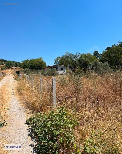 Buca/Belenbaşı Köyü'Nde 310M2 Satılık Tarla — fotoğraf 5