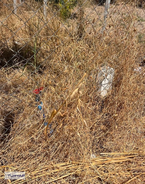 Buca/Belenbaşı Köyü'Nde 310M2 Satılık Tarla — fotoğraf 6