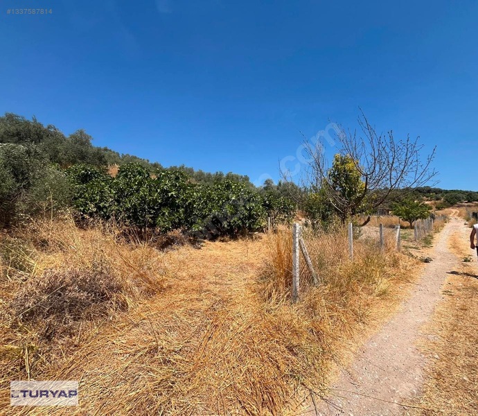 Buca/Belenbaşı Köyü'Nde 310M2 Satılık Tarla — fotoğraf 7