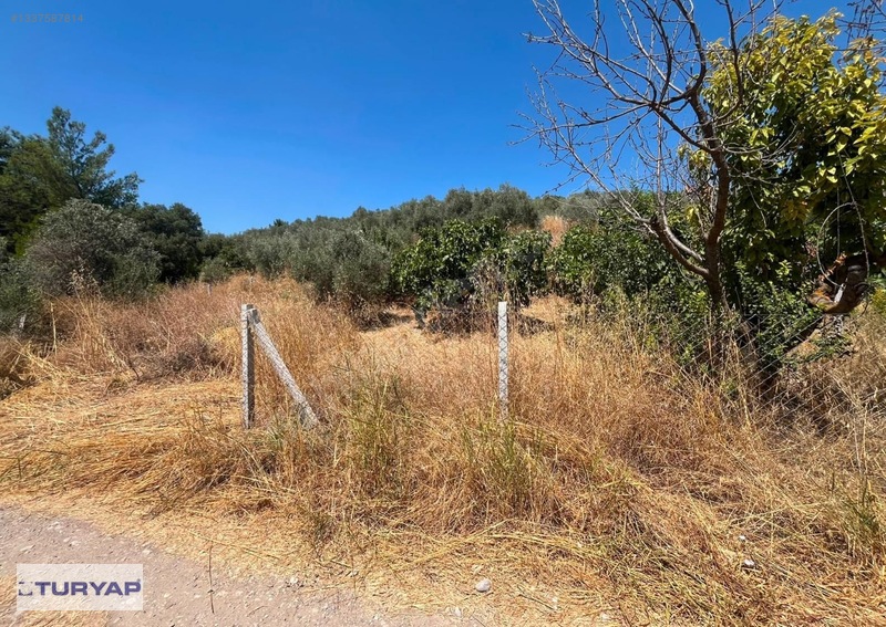 Buca/Belenbaşı Köyü'Nde 310M2 Satılık Tarla — fotoğraf 8