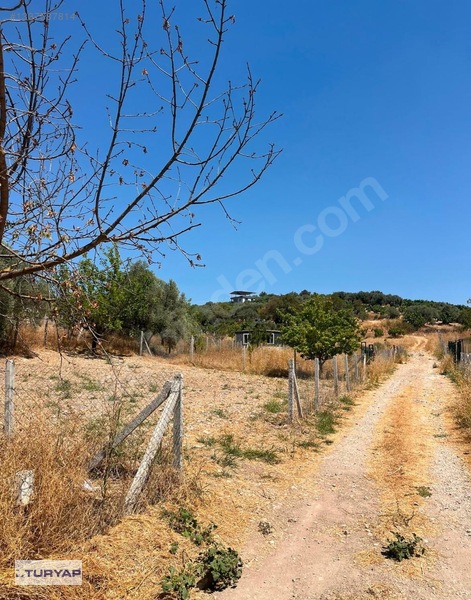 Buca/Belenbaşı Köyü'Nde 310M2 Satılık Tarla — fotoğraf 10