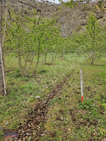 Mudurnu Tosunlar Köyünde Satılık 1415 M2 Bağ — fotoğraf 2