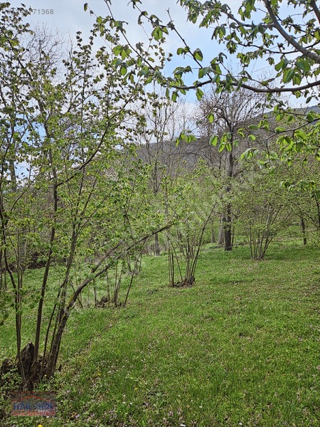 Mudurnu Tosunlar Köyünde Satılık 1415 M2 Bağ — fotoğraf 3