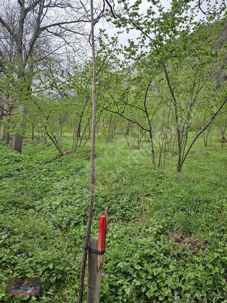 Mudurnu Tosunlar Köyünde Satılık 1415 M2 Bağ — fotoğraf 7