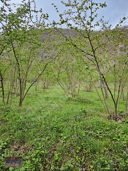 Mudurnu Tosunlar Köyünde Satılık 1415 M2 Bağ — fotoğraf 8