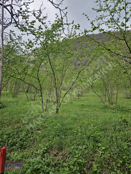 Mudurnu Tosunlar Köyünde Satılık 1415 M2 Bağ — fotoğraf 10