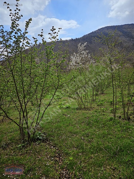 Mudurnu Tosunlar Köyünde Satılık 1415 M2 Bağ — fotoğraf 11