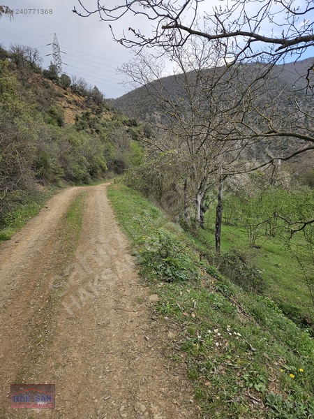Mudurnu Tosunlar Köyünde Satılık 1415 M2 Bağ — fotoğraf 14