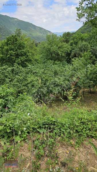 Mudurnu Tosunlar Köyünde Satılık 1415 M2 Bağ — fotoğraf 23