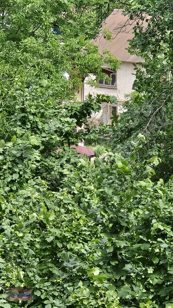 Mudurnu Tosunlar Köyünde Satılık 1415 M2 Bağ — fotoğraf 24
