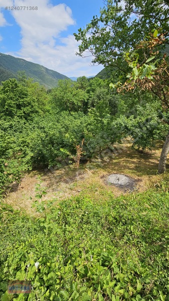 Mudurnu Tosunlar Köyünde Satılık 1415 M2 Bağ — fotoğraf 26