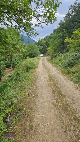 Mudurnu Tosunlar Köyünde Satılık 1415 M2 Bağ — fotoğraf 29