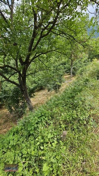 Mudurnu Tosunlar Köyünde Satılık 1415 M2 Bağ — fotoğraf 32