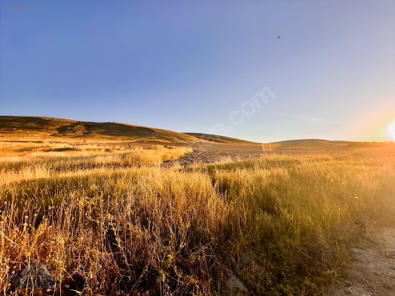 Bayburt Merkez Kavacık'ta Satılık Tarla — fotoğraf 3