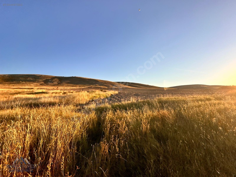 Bayburt Merkez Kavacık'ta Satılık Tarla — fotoğraf 19