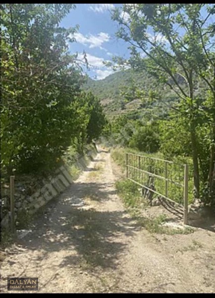 Kanuni Geçit Hakkı Bulunan Müstakil Tapulu 3 Ayrı Satılık Bahçe — fotoğraf 2
