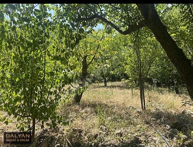 Kanuni Geçit Hakkı Bulunan Müstakil Tapulu 3 Ayrı Satılık Bahçe — fotoğraf 3